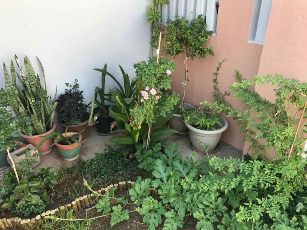 Urbanlife Keetmanshoop Accommodation Bagian luar foto